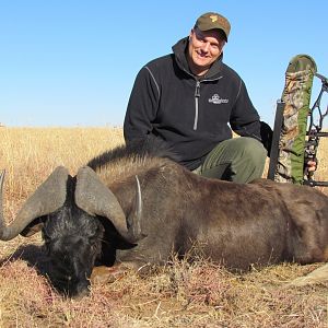 Bow Hunt Black Wildebeest in South Africa