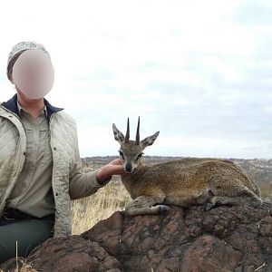 Klipspringer Hunt in Matetsi Area Zimbabwe