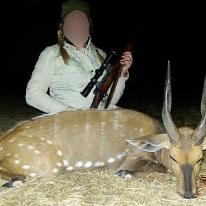 Bushbuck Matetsi Zimbabwe Hunting