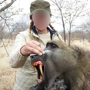 Matetsi Zimbabwe Baboon Hunt