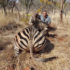 Zebra Hunting Matetsi Zimbabwe