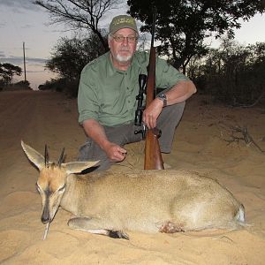 Duiker Hunting Namibia