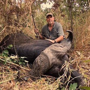 Cape Buffalo Hunt Zambia