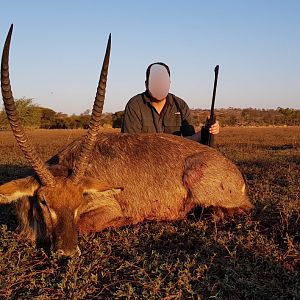 Waterbuck South Africa Hunt