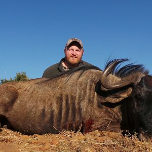 South Africa Blue Wildebeest Hunting