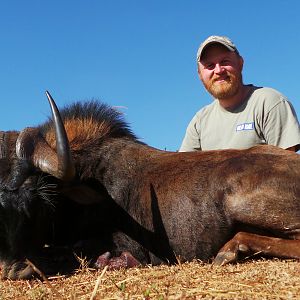 Hunt Black Wildebeest South Africa