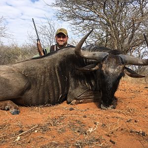 South Africa Blue Wildebeest Hunting