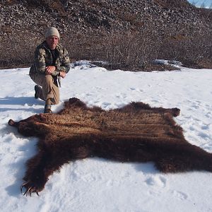 Bear Grizzly Hunt