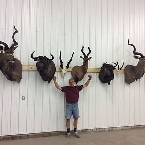 Trophies Shoulder Mount Taxidermy