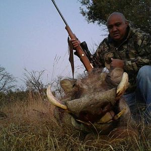 South Africa Warthog Hunt