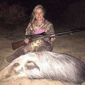 Bushpig Hunting South Africa