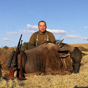 South Africa Blue Wildebeest Hunting