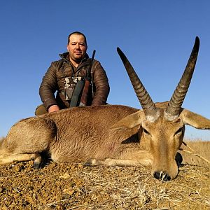 South Africa Hunt Reedbuck