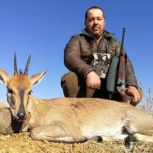 Duiker Hunting South Africa