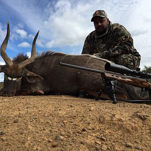 Nyala Hunt South Africa