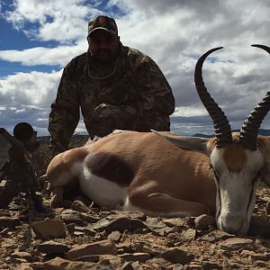 Springbok Hunting South Africa