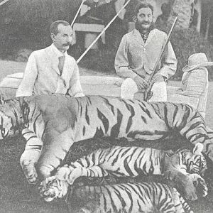 H.H. Nizam Asaf Jah VI Tiger Hunt Hyderabad India 1906