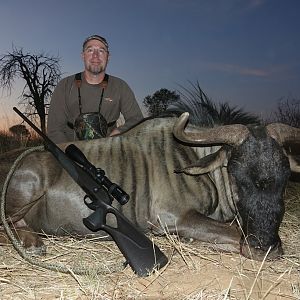 Hunting South Africa Blue Wildebeest