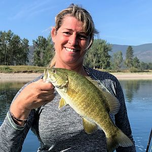 Smallmouth Bass Fishing Montana