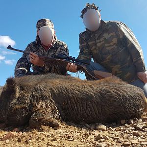 South Africa Boar Hunt