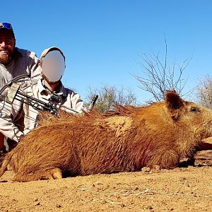 South Africa Boar Hunt