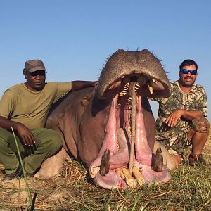 Zimbabwe Hunt Hippo