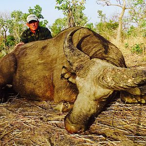 Hunt West Africa West African Savanna Buffalo