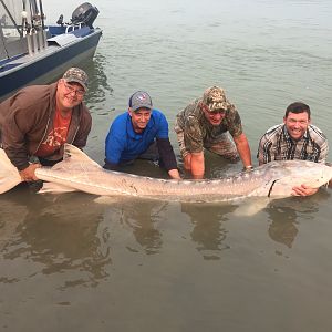 Fishing Sturgeon British Columbia Canada