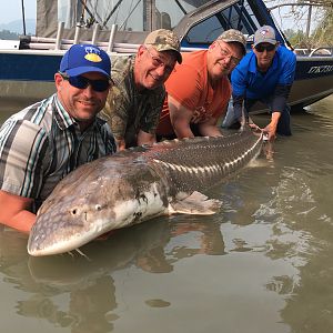 Fishing Sturgeon British Columbia Canada