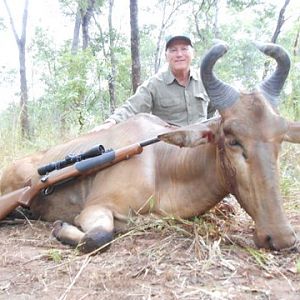 Lichtenstein's Hartebeest Tanzania Hunt