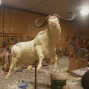 Behind The Scenes Lion & Cape Buffalo Full Mount Taxidermy