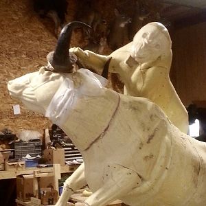 Behind The Scenes Lion & Cape Buffalo Full Mount Taxidermy