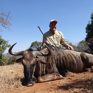 South Africa Blue Wildebeest Hunting