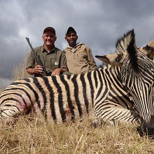 South Africa Hunt Burchell's Plain Zebra