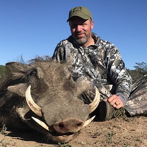 South Africa Warthog Hunt