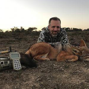 South Africa Jackal Hunting