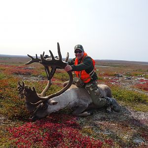 Caribou Hunting