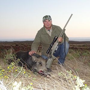 Boar Hunt California Coastal