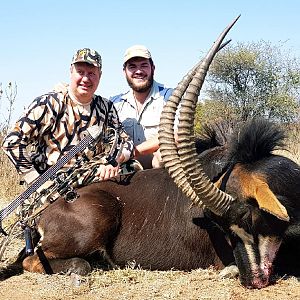 Bow Hunt Sable Antelope South Africa