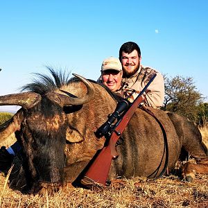 South Africa Blue Wildebeest Hunting