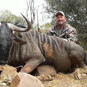 South Africa Blue Wildebeest Hunting