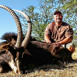 Sable Hunting in South Africa