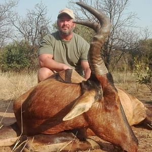 Red Hartebeest Hunt South Africa