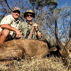 Bushbuck Hunting South Africa