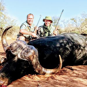 Hunting Buffalo South Africa