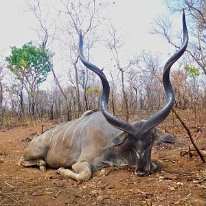 Tanzania Kudu Hunting