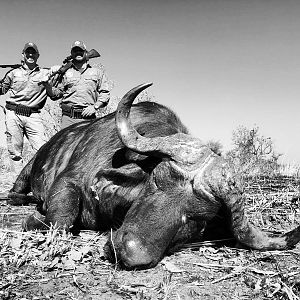 Tanzania Cape Buffalo Hunt