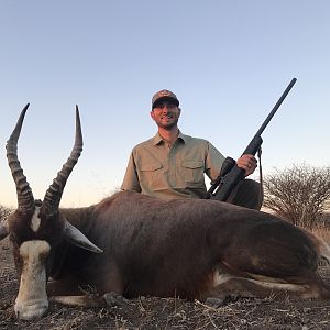 Hunting Blesbok South Africa