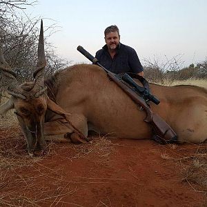 South Africa Hunting Eland