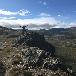 Reindeer Hunting Norway